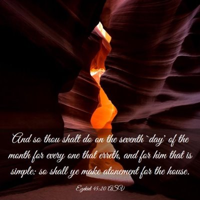 Picture 03 - Ezekiel 45:20 ASV - And so thou shalt do on the seventh `day' of the - Bible Verse Picture