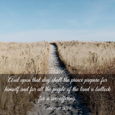 Picture 03 - Ezekiel 45:22 ASV - And upon that day shall the prince prepare for - Bible Verse Picture
