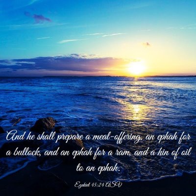 Picture 03 - Ezekiel 45:24 ASV - And he shall prepare a meal-offering, an ephah - Bible Verse Picture
