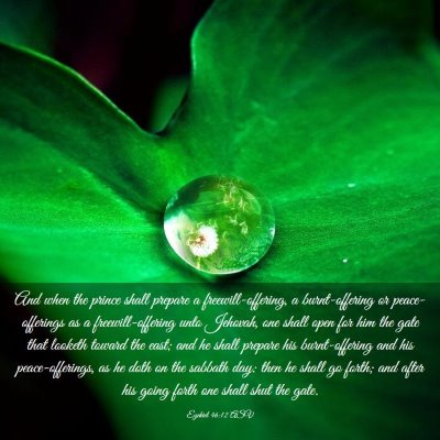 Picture 03 - Ezekiel 46:12 ASV - And when the prince shall prepare a - Bible Verse Picture