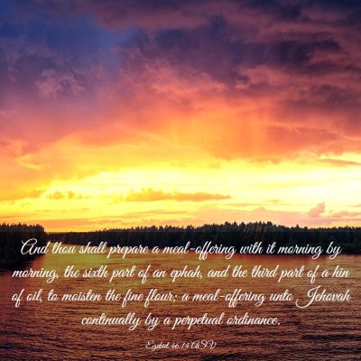 Picture 03 - Ezekiel 46:14 ASV - And thou shalt prepare a meal-offering with it - Bible Verse Picture