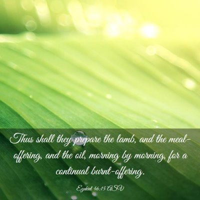 Picture 03 - Ezekiel 46:15 ASV - Thus shall they prepare the lamb, and the - Bible Verse Picture