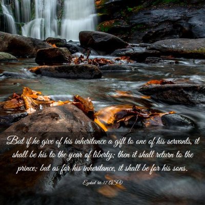 Picture 03 - Ezekiel 46:17 ASV - But if he give of his inheritance a gift to one - Bible Verse Picture