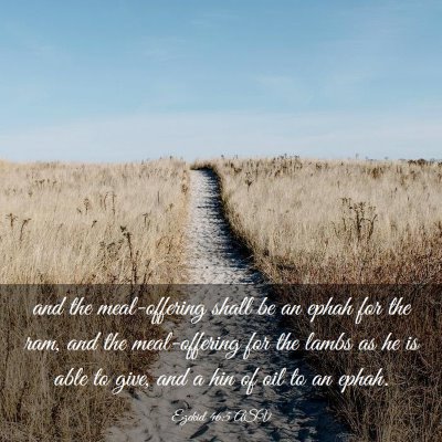 Picture 03 - Ezekiel 46:5 ASV - and the meal-offering shall be an ephah for the - Bible Verse Picture
