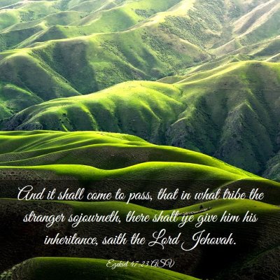Picture 03 - Ezekiel 47:23 ASV - And it shall come to pass, that in what tribe the - Bible Verse Picture