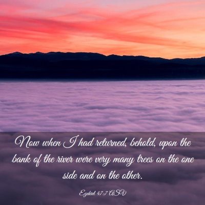 Picture 03 - Ezekiel 47:7 ASV - Now when I had returned, behold, upon the bank of - Bible Verse Picture
