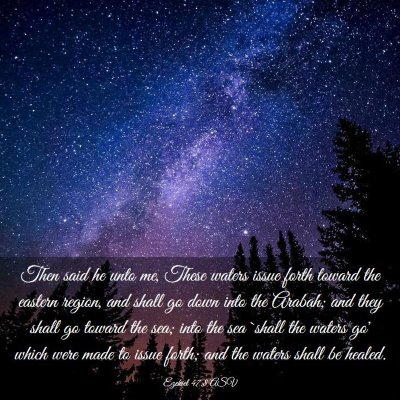 Picture 03 - Ezekiel 47:8 ASV - Then said he unto me, These waters issue forth - Bible Verse Picture