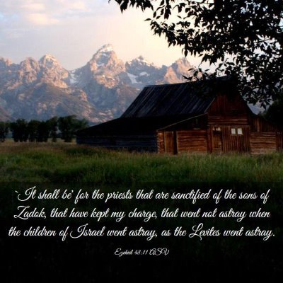 Picture 03 - Ezekiel 48:11 ASV - `It shall be' for the priests that are sanctified - Bible Verse Picture