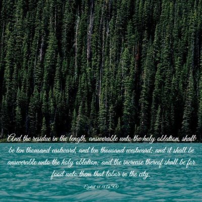 Picture 03 - Ezekiel 48:18 ASV - And the residue in the length, answerable unto - Bible Verse Picture
