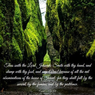 Picture 03 - Ezekiel 6:11 ASV - Thus saith the Lord Jehovah: Smite with thy hand, - Bible Verse Picture