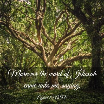 Picture 03 - Ezekiel 7:1 ASV - Moreover the word of Jehovah came unto me, - Bible Verse Picture