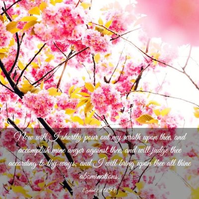 Picture 03 - Ezekiel 7:8 ASV - Now will I shortly pour out my wrath upon thee, - Bible Verse Picture
