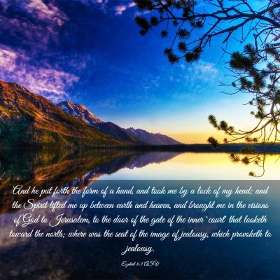 Picture 03 - Ezekiel 8:3 ASV - And he put forth the form of a hand, and took me - Bible Verse Picture