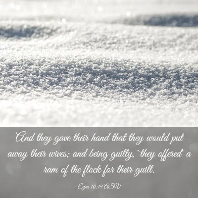 Picture 03 - Ezra 10:19 ASV - And they gave their hand that they would put away - Bible Verse Picture