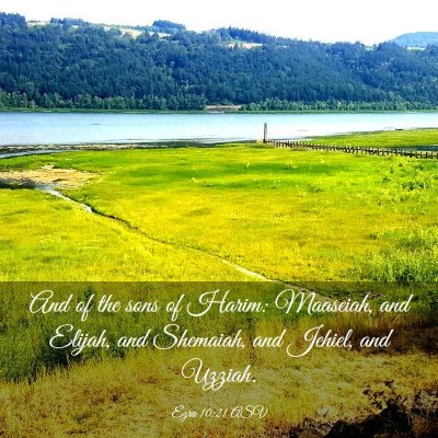 Picture 03 - Ezra 10:21 ASV - And of the sons of Harim: Maaseiah, and Elijah, - Bible Verse Picture