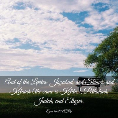 Picture 03 - Ezra 10:23 ASV - And of the Levites: Jozabad, and Shimei, and - Bible Verse Picture