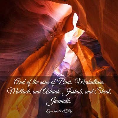 Picture 03 - Ezra 10:29 ASV - And of the sons of Bani: Meshullam, Malluch, and - Bible Verse Picture
