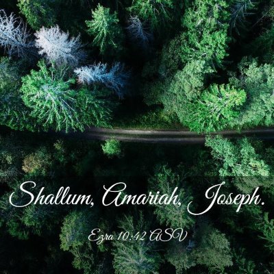 Picture 03 - Ezra 10:42 ASV - Shallum, Amariah, - Bible Verse Picture