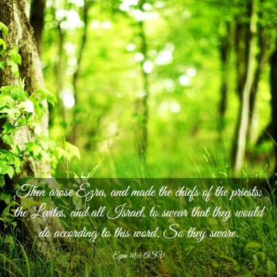 Picture 03 - Ezra 10:5 ASV - Then arose Ezra, and made the chiefs of the - Bible Verse Picture