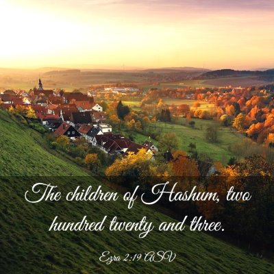 Picture 03 - Ezra 2:19 ASV - The children of Hashum, two hundred twenty and - Bible Verse Picture