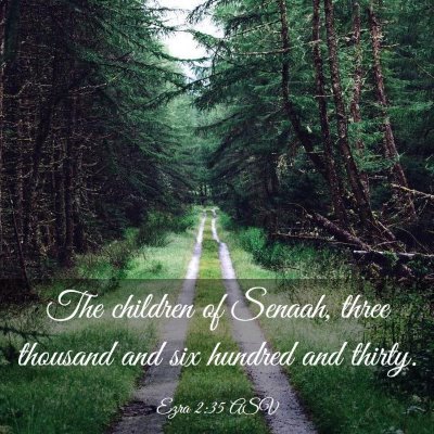 Picture 03 - Ezra 2:35 ASV - The children of Senaah, three thousand and six - Bible Verse Picture