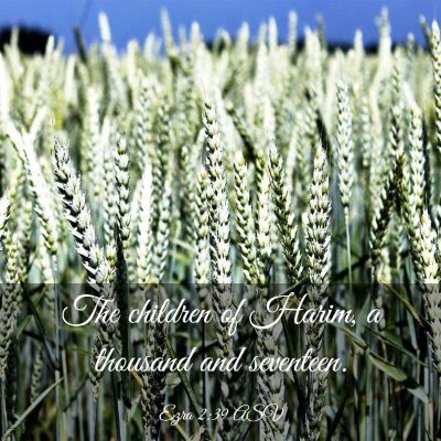 Picture 03 - Ezra 2:39 ASV - The children of Harim, a thousand and - Bible Verse Picture
