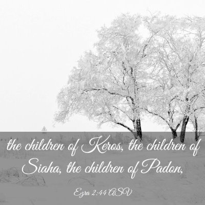 Picture 03 - Ezra 2:44 ASV - the children of Keros, the children of Siaha, the - Bible Verse Picture