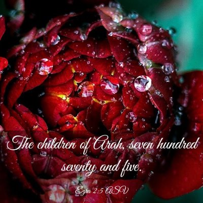 Picture 03 - Ezra 2:5 ASV - The children of Arah, seven hundred seventy and - Bible Verse Picture