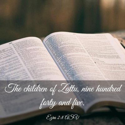 Picture 03 - Ezra 2:8 ASV - The children of Zattu, nine hundred forty and - Bible Verse Picture