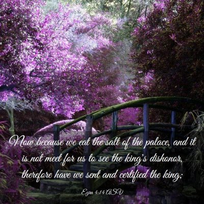 Picture 03 - Ezra 4:14 ASV - Now because we eat the salt of the palace, and it - Bible Verse Picture