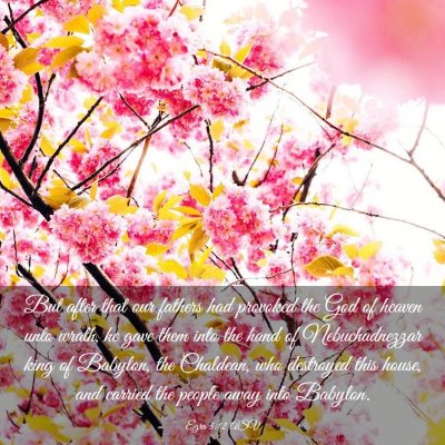 Picture 03 - Ezra 5:12 ASV - But after that our fathers had provoked the God - Bible Verse Picture