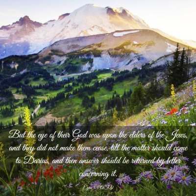 Picture 03 - Ezra 5:5 ASV - But the eye of their God was upon the elders of - Bible Verse Picture