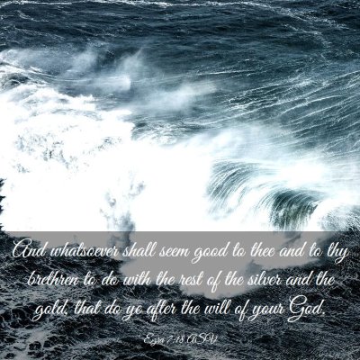 Picture 03 - Ezra 7:18 ASV - And whatsoever shall seem good to thee and to thy - Bible Verse Picture