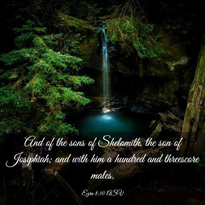 Picture 03 - Ezra 8:10 ASV - And of the sons of Shelomith, the son of - Bible Verse Picture