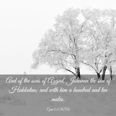 Picture 03 - Ezra 8:12 ASV - And of the sons of Azgad, Johanan the son of - Bible Verse Picture