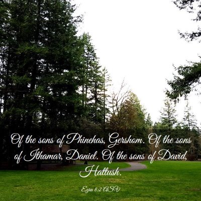 Picture 03 - Ezra 8:2 ASV - Of the sons of Phinehas, Gershom. Of the sons of - Bible Verse Picture