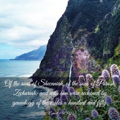 Picture 03 - Ezra 8:3 ASV - Of the sons of Shecaniah, of the sons of Parosh, - Bible Verse Picture