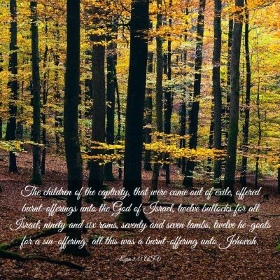Picture 03 - Ezra 8:35 ASV - The children of the captivity, that were come out - Bible Verse Picture