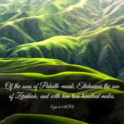 Picture 03 - Ezra 8:4 ASV - Of the sons of Pahath-moab, Eliehoenai the son of - Bible Verse Picture