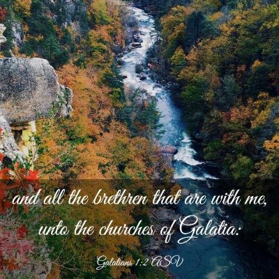 Picture 03 - Galatians 1:2 ASV - and all the brethren that are with me, unto the - Bible Verse Picture