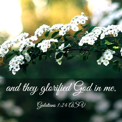 Picture 03 - Galatians 1:24 ASV - and they glorified God in - Bible Verse Picture