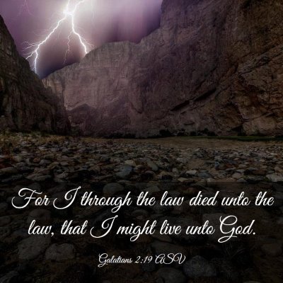Picture 03 - Galatians 2:19 ASV - For I through the law died unto the law, that I - Bible Verse Picture