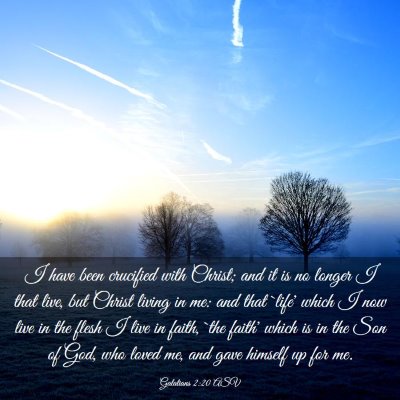Picture 03 - Galatians 2:20 ASV - I have been crucified with Christ; and it is no - Bible Verse Picture