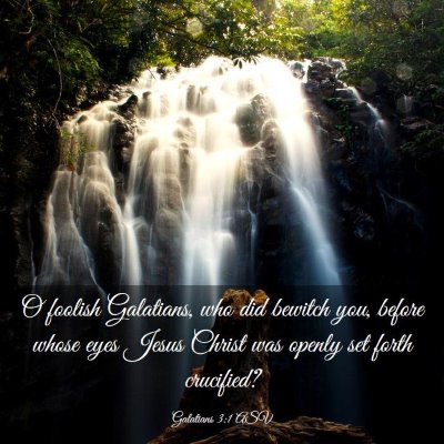 Picture 03 - Galatians 3:1 ASV - O foolish Galatians, who did bewitch you, before - Bible Verse Picture