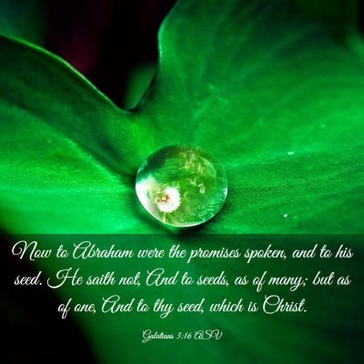 Picture 03 - Galatians 3:16 ASV - Now to Abraham were the promises spoken, and to - Bible Verse Picture