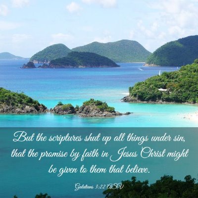 Picture 03 - Galatians 3:22 ASV - But the scriptures shut up all things under sin, - Bible Verse Picture