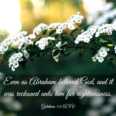 Picture 03 - Galatians 3:6 ASV - Even as Abraham believed God, and it was reckoned - Bible Verse Picture