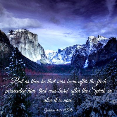 Picture 03 - Galatians 4:29 ASV - But as then he that was born after the flesh - Bible Verse Picture