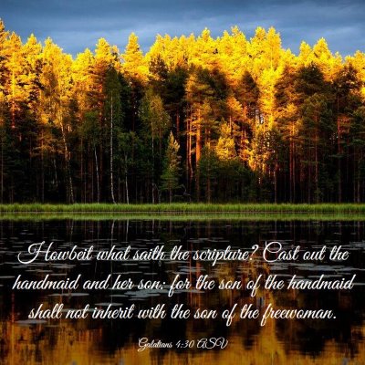 Picture 03 - Galatians 4:30 ASV - Howbeit what saith the scripture? Cast out the - Bible Verse Picture