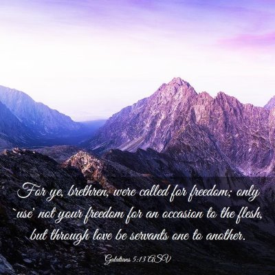 Picture 03 - Galatians 5:13 ASV - For ye, brethren, were called for freedom; only - Bible Verse Picture